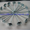 Roofing Nails with Umbrella Head/Steel Twisted Shank Roofing Nail